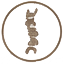RestoraSpine image